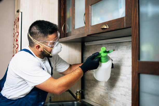 Best Best Pest Control Companies  in Flora, IL