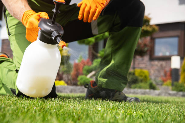 Best Emergency Pest Control  in Flora, IL