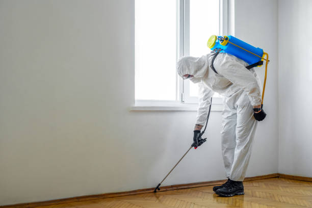 Pest Prevention Services in Flora, IL