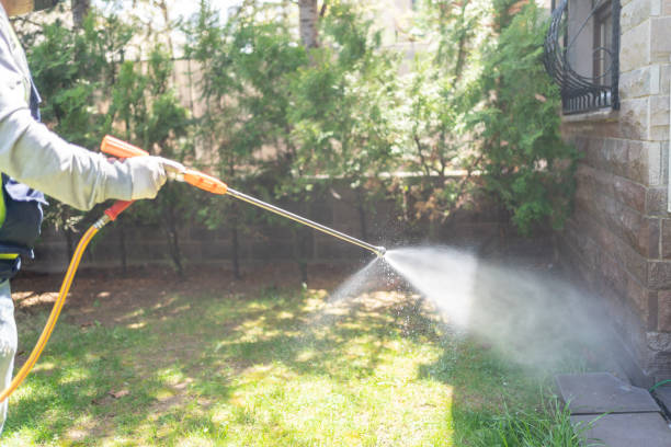  Flora, IL Pest Control Pros