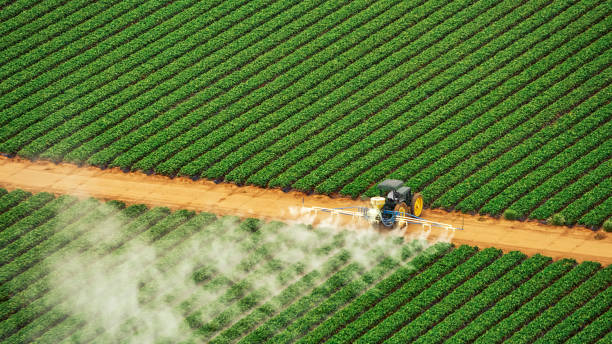 Best Mosquito Control Services  in Flora, IL