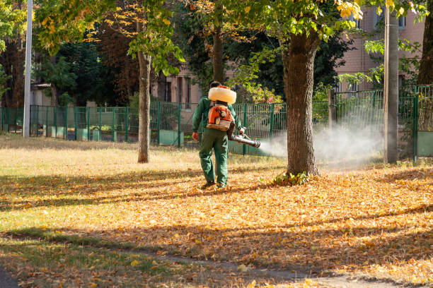 Best Rat Extermination Near Me  in Flora, IL