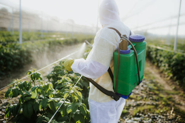 Best Pest Prevention Services  in Flora, IL